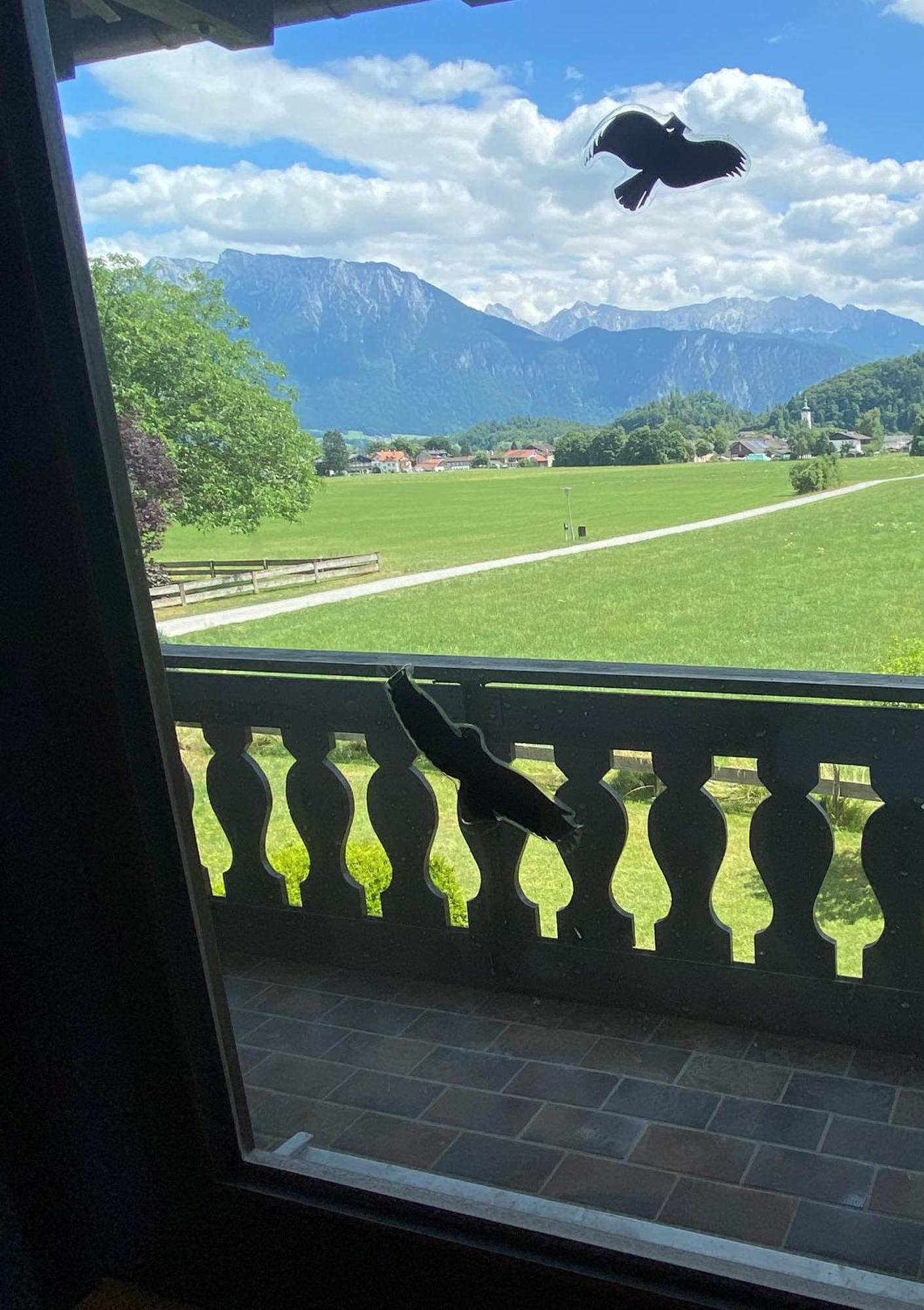 Kaiserpanorama - Alpenmagie Апартаменты Обераудорф